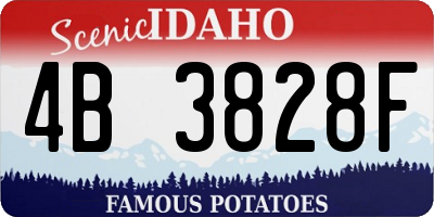 ID license plate 4B3828F
