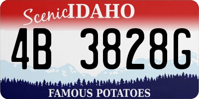 ID license plate 4B3828G