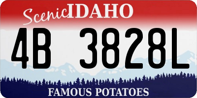 ID license plate 4B3828L