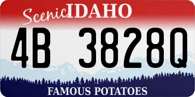 ID license plate 4B3828Q