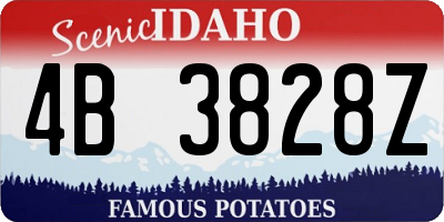 ID license plate 4B3828Z