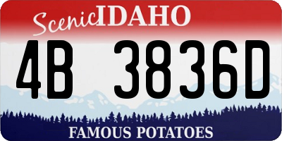 ID license plate 4B3836D