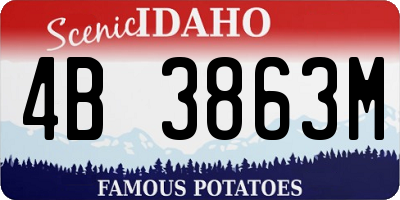 ID license plate 4B3863M