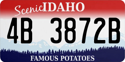 ID license plate 4B3872B