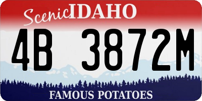 ID license plate 4B3872M