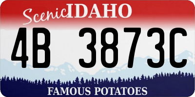 ID license plate 4B3873C