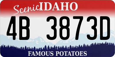 ID license plate 4B3873D