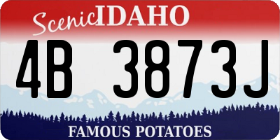 ID license plate 4B3873J