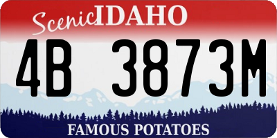 ID license plate 4B3873M
