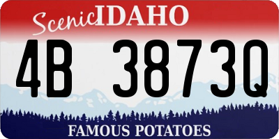 ID license plate 4B3873Q