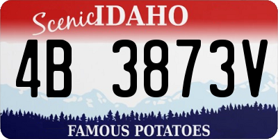 ID license plate 4B3873V