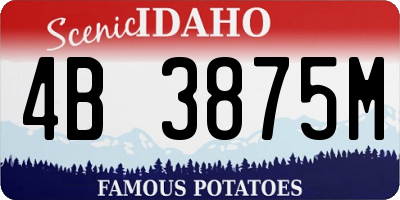 ID license plate 4B3875M