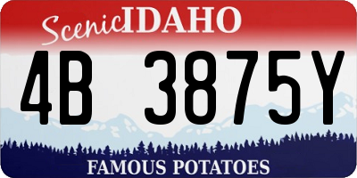 ID license plate 4B3875Y