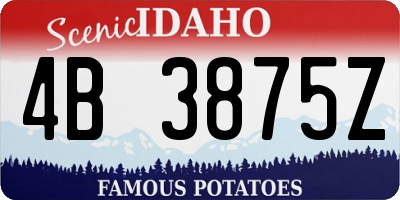 ID license plate 4B3875Z