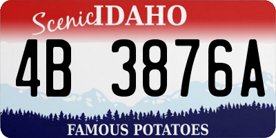 ID license plate 4B3876A