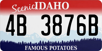 ID license plate 4B3876B
