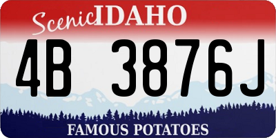 ID license plate 4B3876J