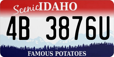 ID license plate 4B3876U