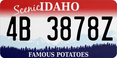 ID license plate 4B3878Z