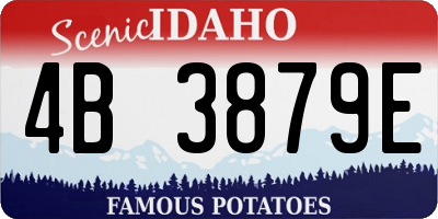 ID license plate 4B3879E