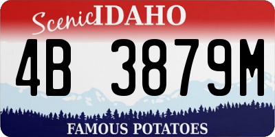 ID license plate 4B3879M