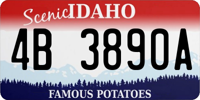 ID license plate 4B3890A