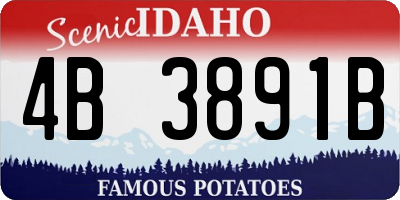 ID license plate 4B3891B