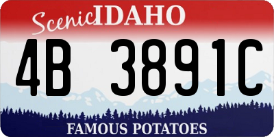 ID license plate 4B3891C