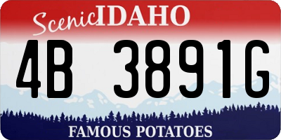 ID license plate 4B3891G