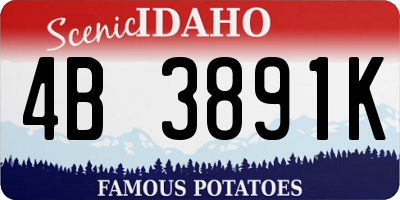 ID license plate 4B3891K