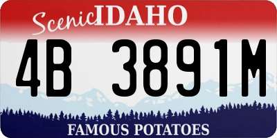 ID license plate 4B3891M