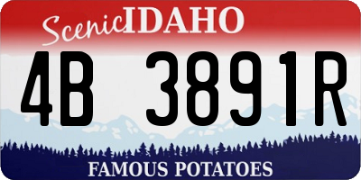 ID license plate 4B3891R