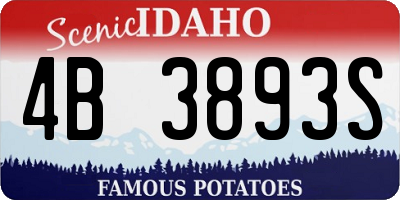 ID license plate 4B3893S