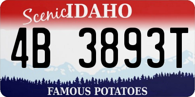 ID license plate 4B3893T