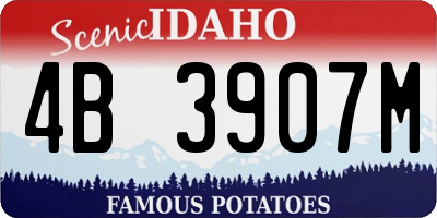 ID license plate 4B3907M
