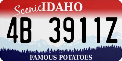 ID license plate 4B3911Z