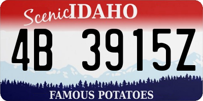 ID license plate 4B3915Z