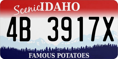 ID license plate 4B3917X