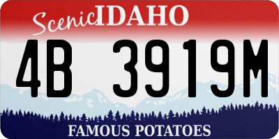 ID license plate 4B3919M