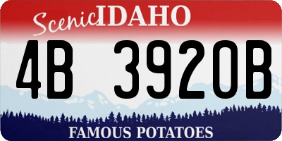 ID license plate 4B3920B