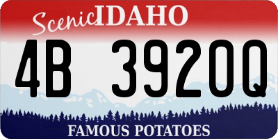 ID license plate 4B3920Q