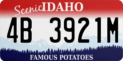 ID license plate 4B3921M