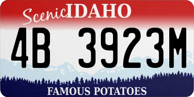 ID license plate 4B3923M