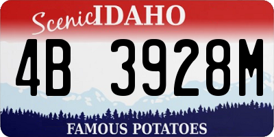 ID license plate 4B3928M