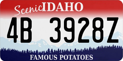 ID license plate 4B3928Z