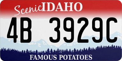ID license plate 4B3929C