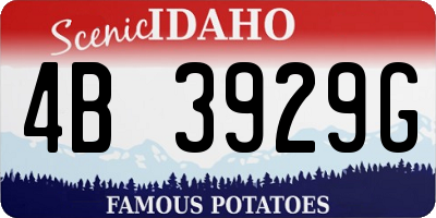 ID license plate 4B3929G