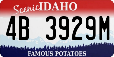 ID license plate 4B3929M