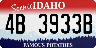ID license plate 4B3933B