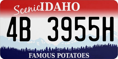 ID license plate 4B3955H